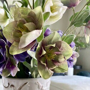 Set/2 Hellebore Sprays